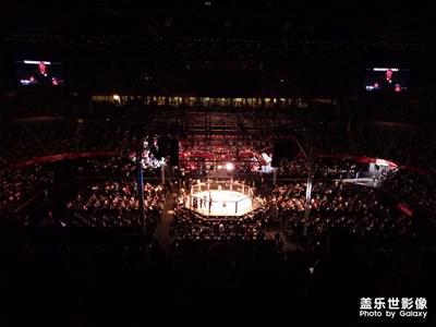 UFC格斗