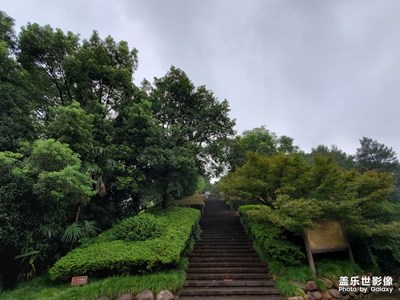 隨手拍，s10+直出，無后期