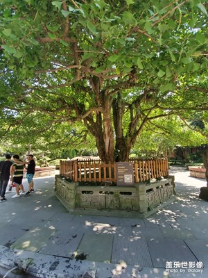 【光影的魅力】＋光的魅力