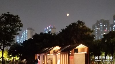 中秋之夜