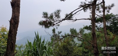 家鄉(xiāng)的變化