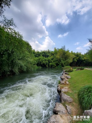 杭州植物園試拍NOTE10+