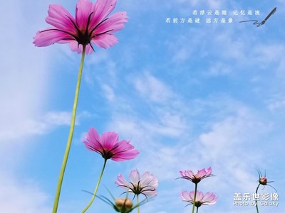 【團圓節(jié)】+佳節(jié)途景