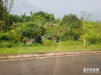 三星s7EDGE拍照效果風(fēng)景照片