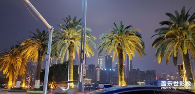 生活……平淡……安靜