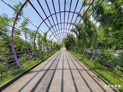 農(nóng)村老頭溜山城，腳桿走彎了。


又走一波