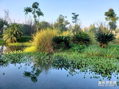 初秋早晨，涼意濃