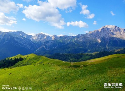 新疆-游記（4）伊昭公路