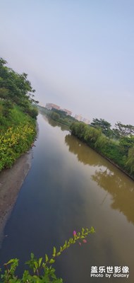 【夜色闌珊】早晨的濕地公園
