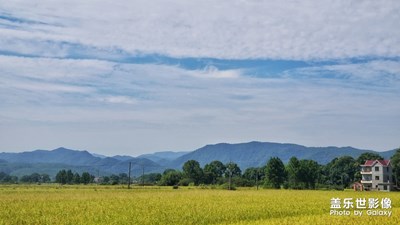 note8家鄉(xiāng)隨拍