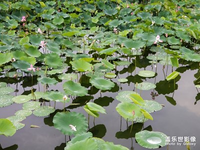 青島印象