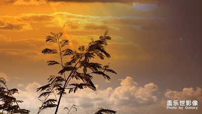 每日一拍，彩云之南——云南。