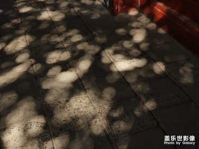 【歡度十一】+ 開福寺