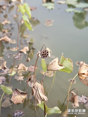 隨便轉(zhuǎn)轉(zhuǎn)