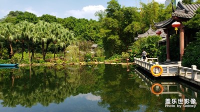 東莞人民公園，Note9的解析度和銳度都挺好