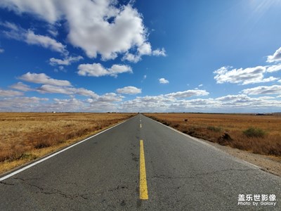 【歡度十一】+我從草原來(lái)