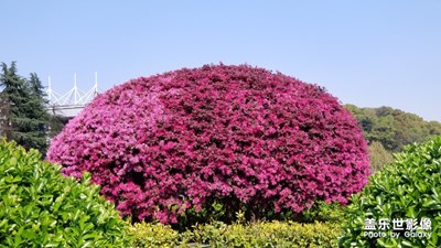 唯有美景、音樂和夢(mèng)想不能辜負(fù)