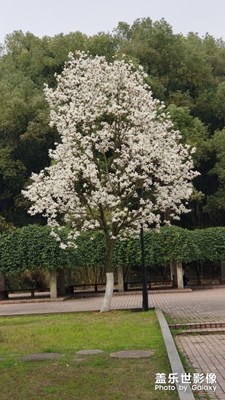 騎行之旅＋隨手拍，＝love＆share