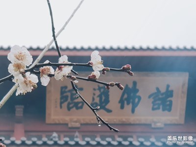 【Note8】陰蒙蒙的靈隱透著一股仙氣