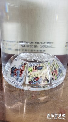 “中國白酒第一坊”水井坊