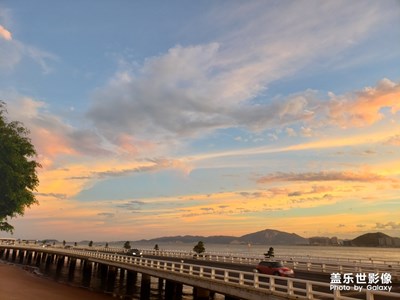 隨手拍