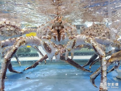 【愛在深秋】+深秋美食