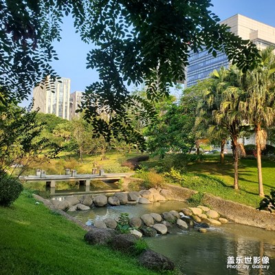 【愛在深秋】+秋日漫步