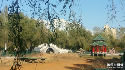 【愛在深秋】+秋日健步行走隨手拍