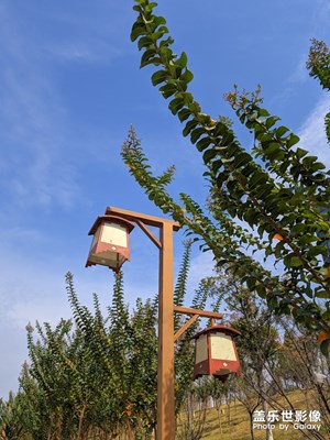 【愛在深秋】+秋高氣爽