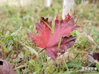 隨手拍-美麗興隆山校區(qū)