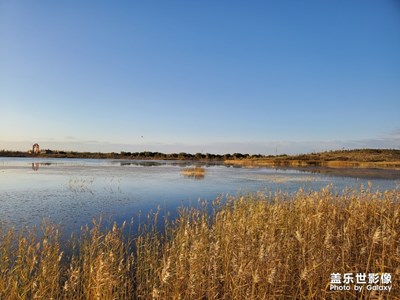 【愛在深秋】+秋日私語