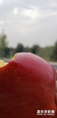 每一刻都是新鮮