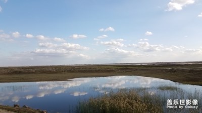 【愛在深秋】+秋日風(fēng)情