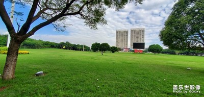 開遠(yuǎn)幸福大草原路過