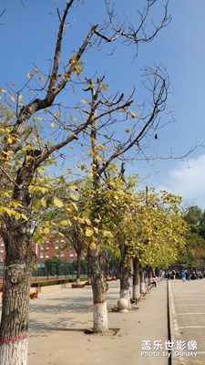 【愛在深秋】+秋意正濃