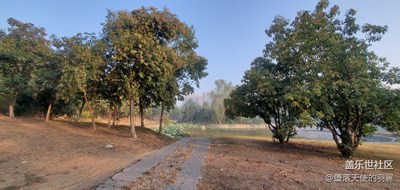 我的大學(xué)生活。