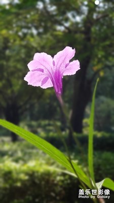 透過(guò)背面發(fā)現(xiàn)不同的美