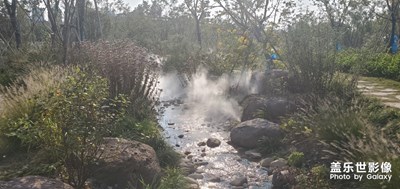 上海市奉賢區(qū)，不太會拍照