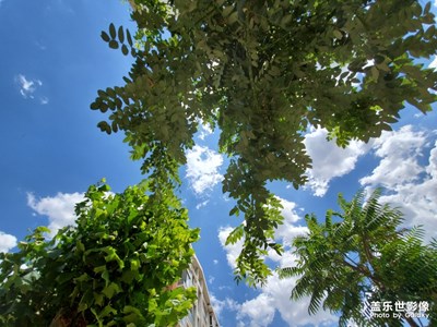 【瑰麗時(shí)分】+眼中神奇的自然