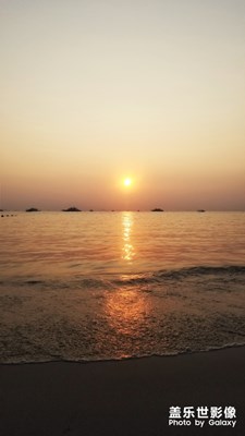 在鏡頭的世界里，忘了自己---被飼養(yǎng)的魚