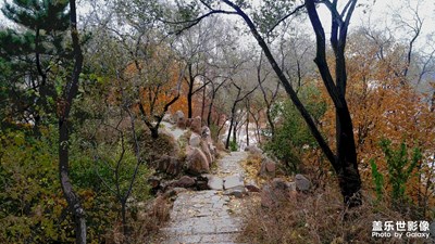 【瑰麗時(shí)分】+秋色