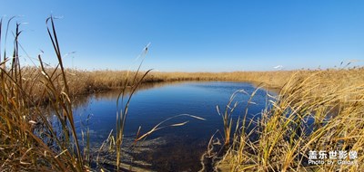 查干湖的秋