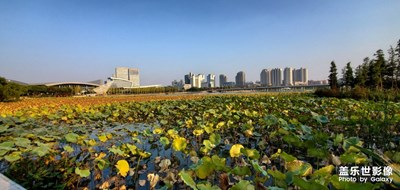 夕陽(yáng)下的明月湖