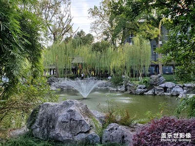 公園隨拍，墨池！同鄉(xiāng)來點個贊！