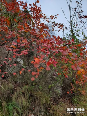 【你眼中的美景】+走入田野