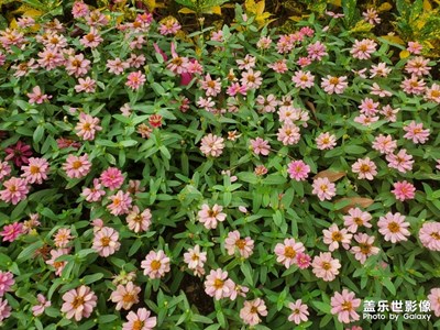 如何調(diào)整成為德系色系？