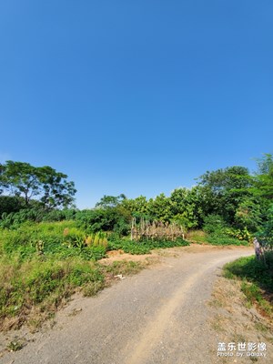 藍(lán)藍(lán)的天空