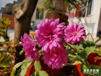 11月你好-一組雜拍