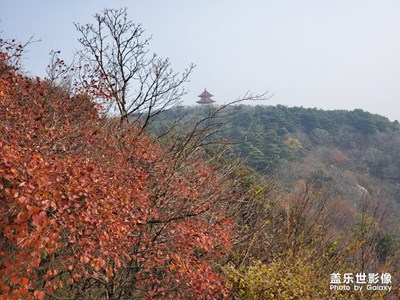 【晚秋光影】+在那個(gè)楓葉飄零的晚秋，收獲滿滿。