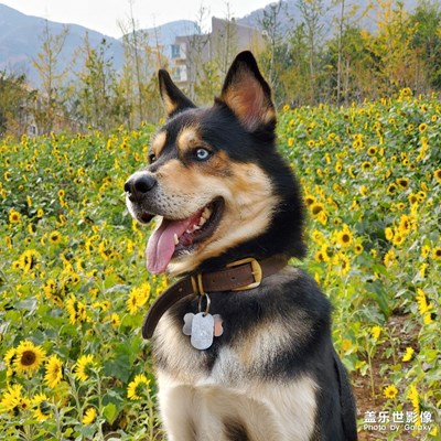 北平之秋-坡峰嶺